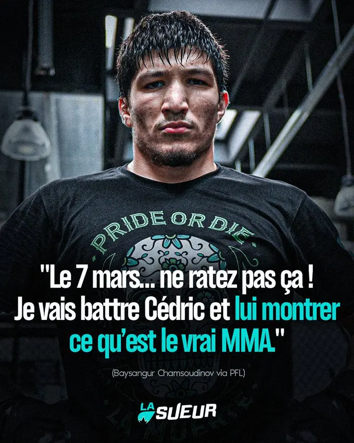 Lui montrer ce qu’est le vrai MMA