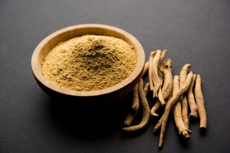 Quels sont les bienfaits de l&rsquo;Ashwagandha en musculation ?